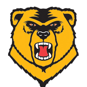 Fundraising Page: WNE Football